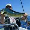 Canne AC4 - ALLWATER - immagine 5