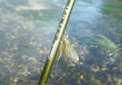 Canne ICT3 7'6" - 8' - immagine 7