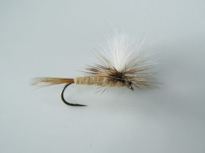 march brown - pozzolini parashutes