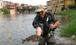 Scatole portamosche