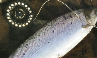 Mulinelli in Composito Plastico