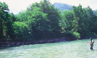 Corsi di pesca a mosca